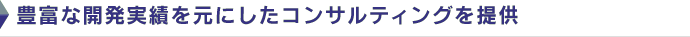 豊富な開発実績を元にしたコンサルティングを提供